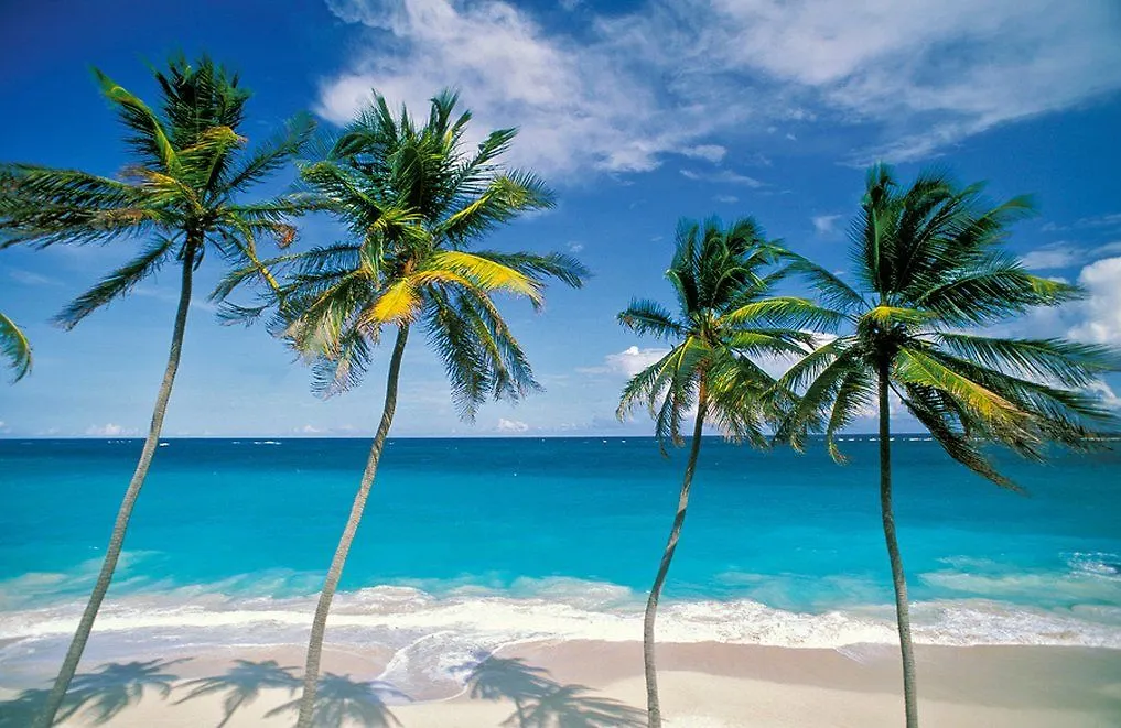 Waves Resort & Spa, Barbados, An Autograph Collection All-Inclusive Resort Saint James